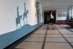 IMG_7448 copy