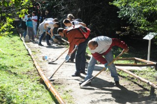 MoiatZelenGrad2014