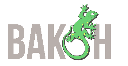 valkon