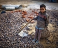 УНИЦЕФ: 150 млн. деца по света са принудени да работят