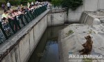 1IMG_2522