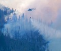 Пожарът в Рила е вече под контрол