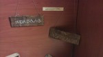 IMAG1960