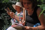 IMG_6033 copy