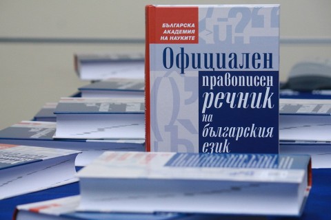 IMG_6544 copy