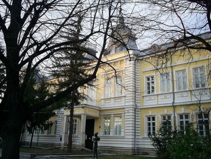 Silistra-art-gallery-Svik