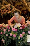 viena_opera2