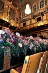 viena_opera9