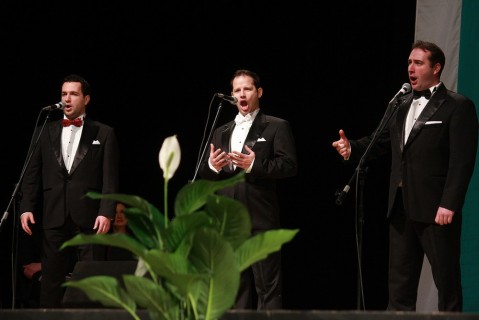 diplomirane_medicinski_universitet_2012_blindspot_05
