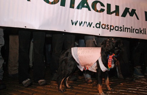 irakli_protest_blindspot_09