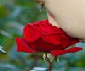 Честваме празника на жените и майките
