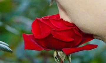 Честваме празника на жените и майките