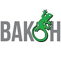 vakon