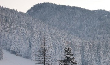 Снегът затвори пътищата в страната