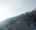 Уикендът ни радва с плюсови температури