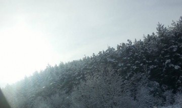 Уикендът ни радва с плюсови температури