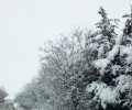 Снегът затвори над 200 училища в страната
