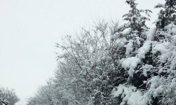 Снегът затвори над 200 училища в страната