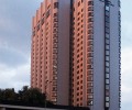 50 000 лв. глоба за изсечени от бизнесмен японски вишни