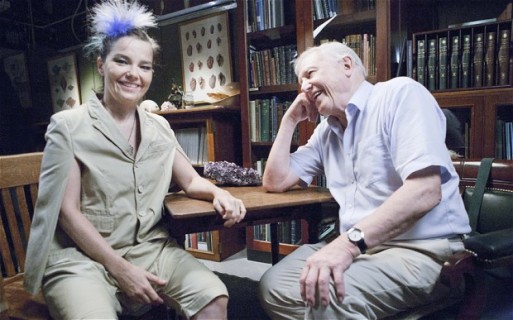 Bjork-Attenborough_2628430b