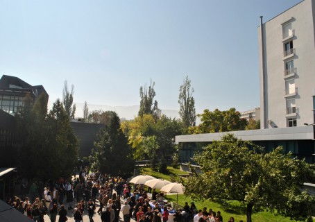 _DSC0398