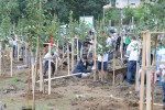 My Green City_2015_2