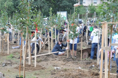 My Green City_2015_2