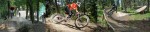 bikes